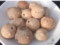 Natural Oak Gall Herb – Traditional Botanical Herbal Product