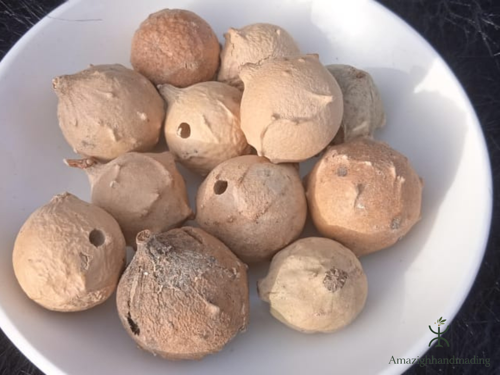 Natural Oak Gall Herb – Traditional Botanical Herbal Product