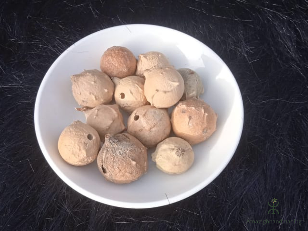Natural Oak Gall Herb – Traditional Botanical Herbal Product