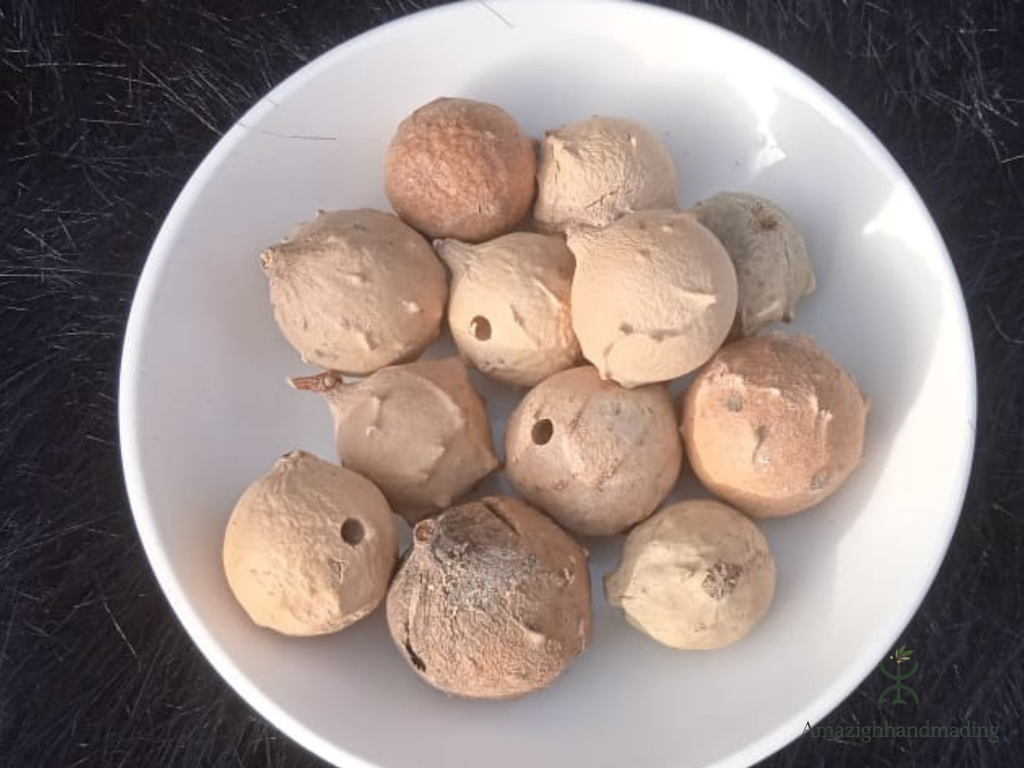 Natural Oak Gall Herb – Traditional Botanical Herbal Product