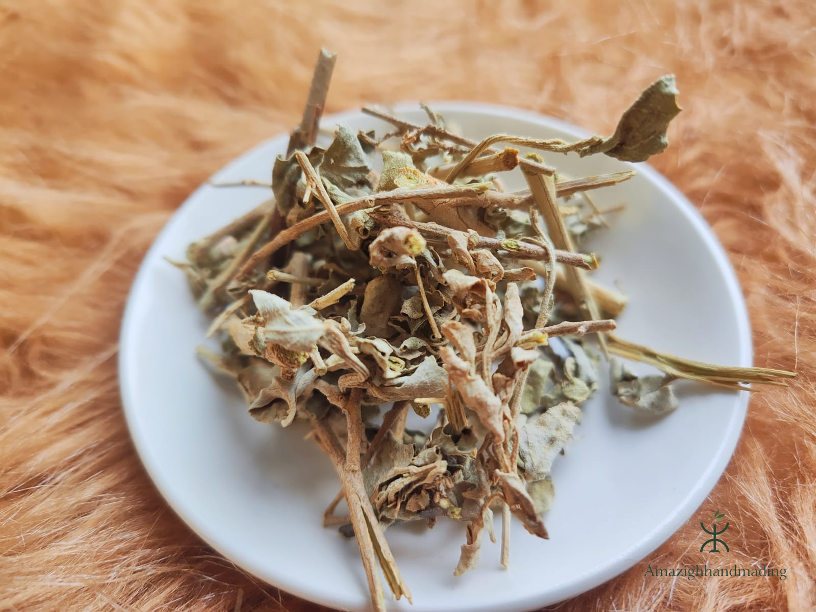 Natural Ktaf Salé (Atriplex halimus) – Traditional Mediterranean Herb