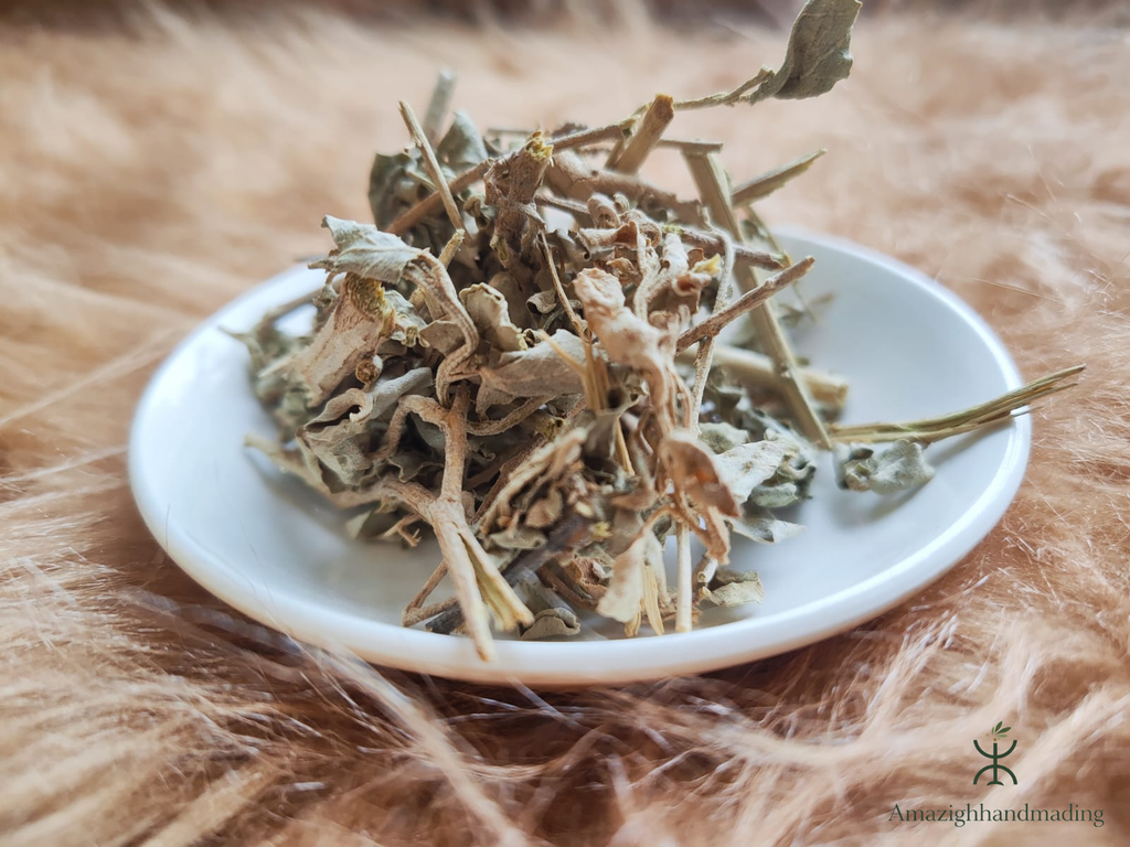Natural Ktaf Salé (Atriplex halimus) – Traditional Mediterranean Herb