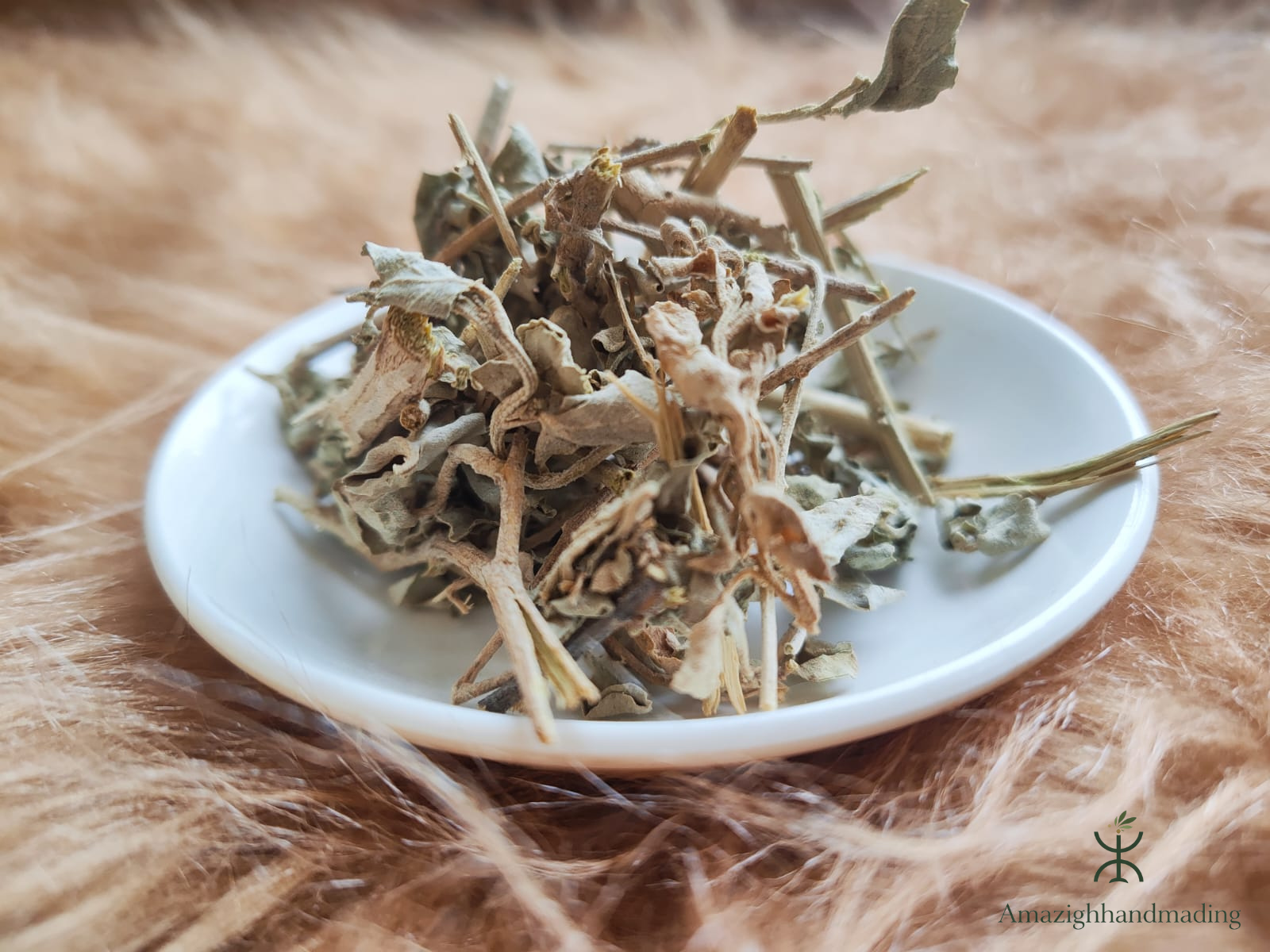 Natural Ktaf Salé (Atriplex halimus) – Traditional Mediterranean Herb