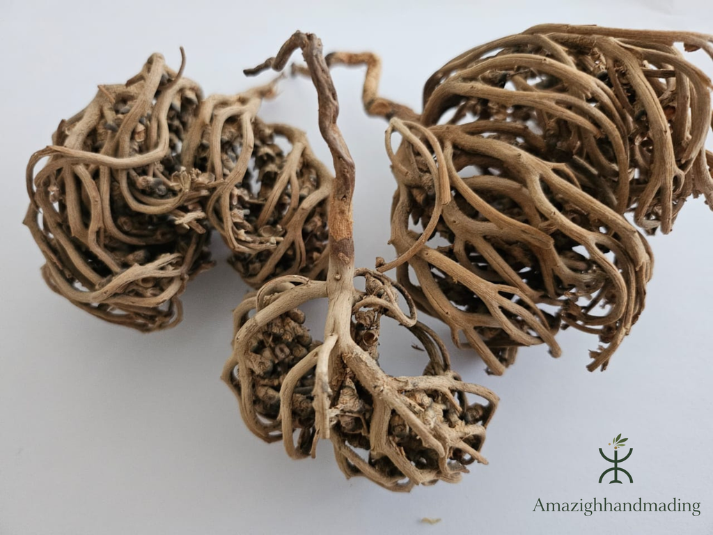 Natural Palm of Mary (Maryam Flower) – Chaste Tree Flower Inspired by Traditional Herbal Culture