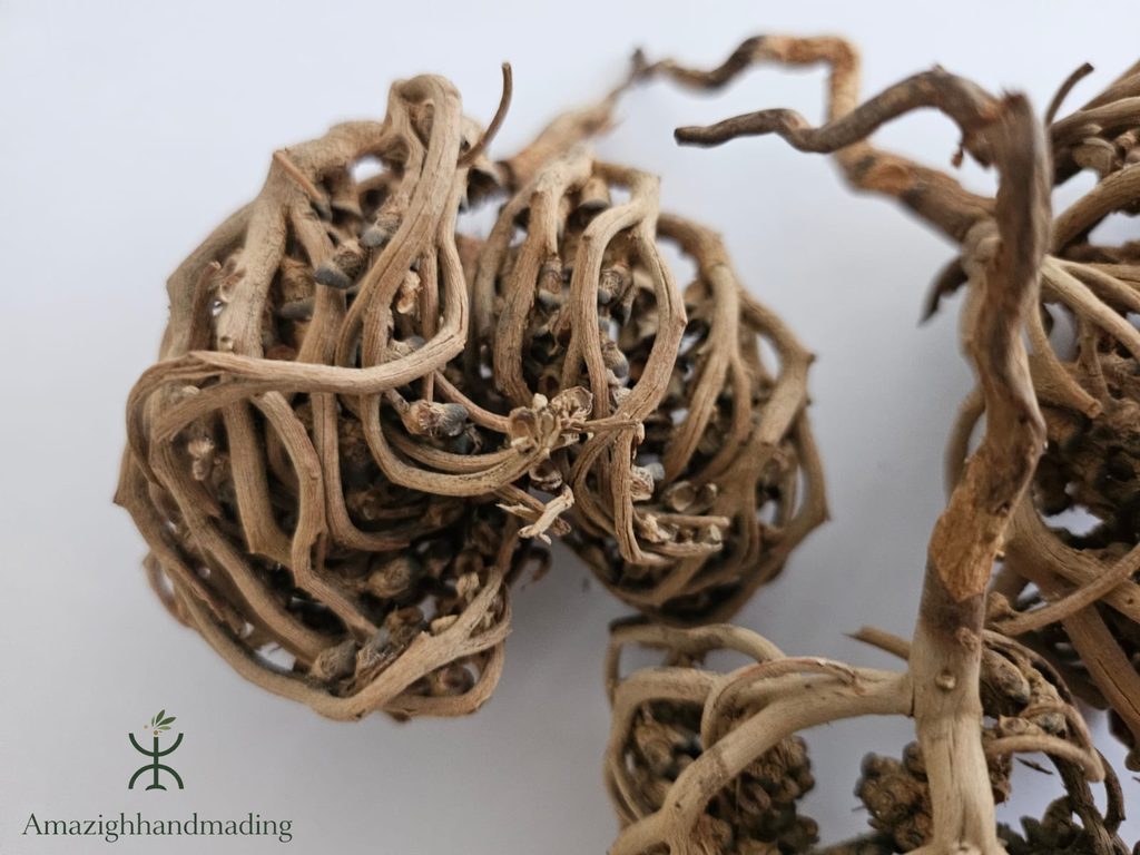 Natural Palm of Mary (Maryam Flower) – Chaste Tree Flower Inspired by Traditional Herbal Culture