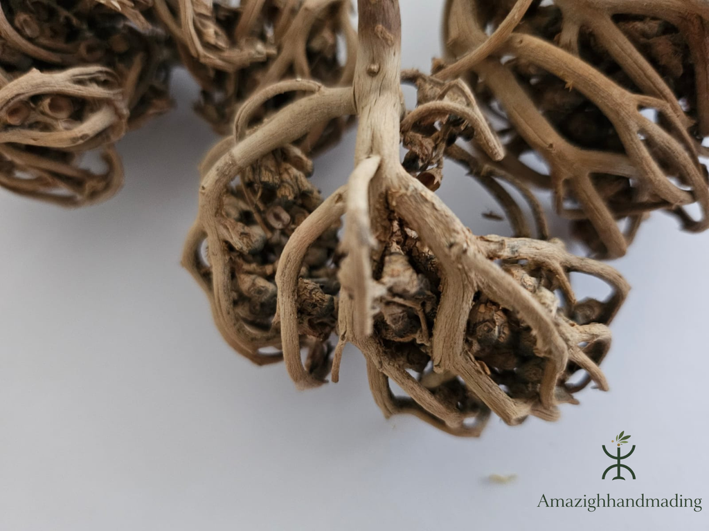 Natural Palm of Mary (Maryam Flower) – Chaste Tree Flower Inspired by Traditional Herbal Culture