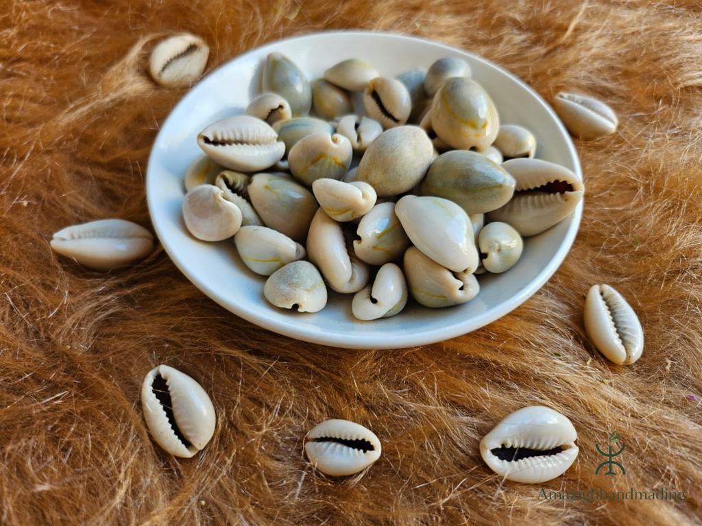 Authentic Moroccan Cowrie Shells (Al Wadaa / الودع المغربي الأصلي) – Traditional Decorative Seashells