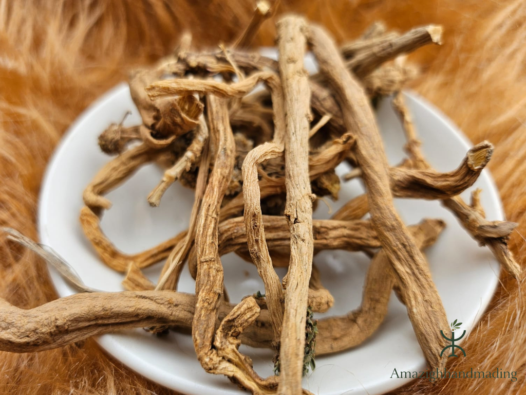 Natural Sarghina Roots – Traditional Moroccan Botanical Roots