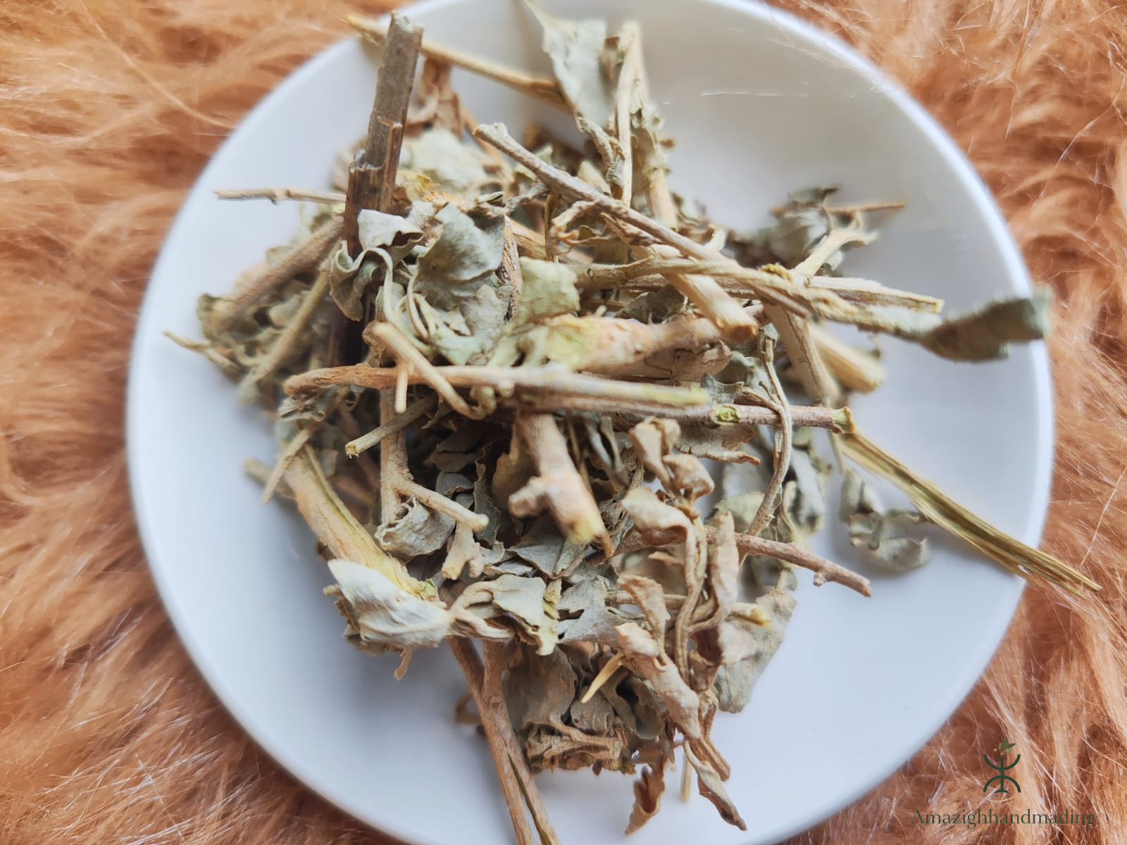 Natural Ktaf Salé (Atriplex halimus) – Traditional Mediterranean Herb