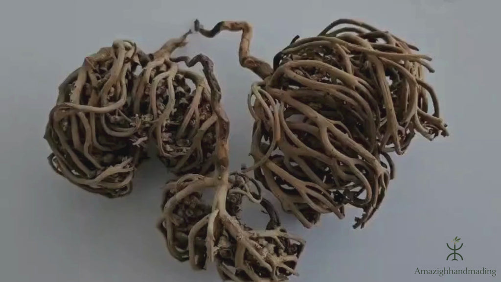 Natural Palm of Mary (Maryam Flower) – Chaste Tree Flower Inspired by Traditional Herbal Culture